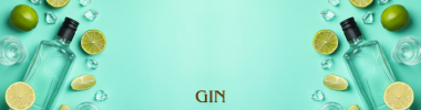 Gin